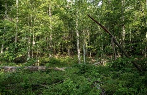 595 Compass Drive Jasper TN 37347