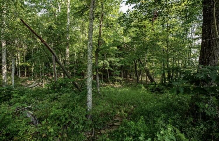 595 Compass Drive Jasper TN 37347