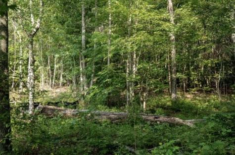 595 Compass Drive Jasper TN 37347