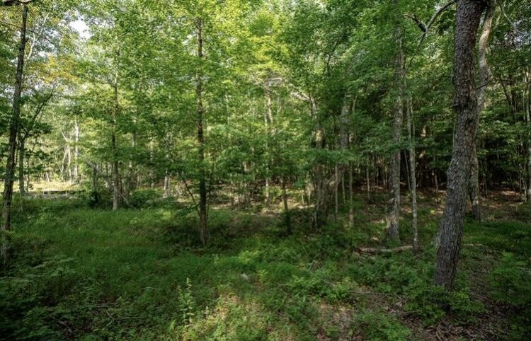 595 Compass Drive Jasper TN 37347
