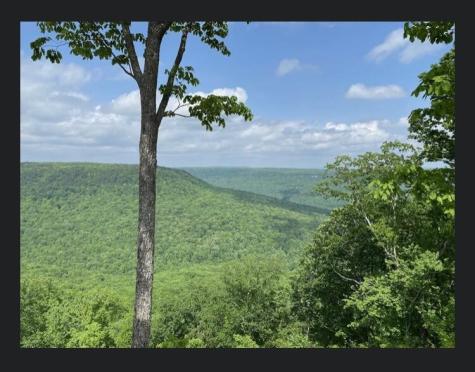 595 Compass Drive Jasper TN 37347