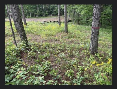 595 Compass Drive Jasper TN 37347