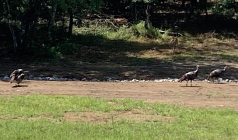 595 Compass Drive Jasper TN 37347