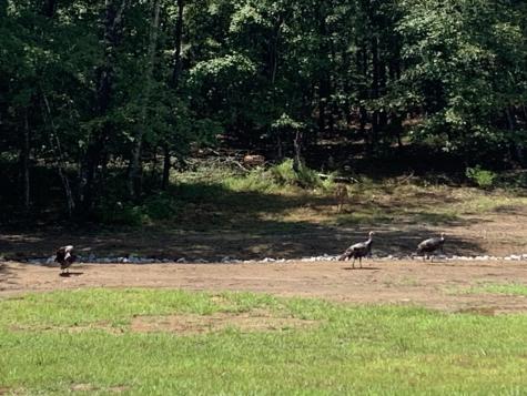 595 Compass Drive Jasper TN 37347