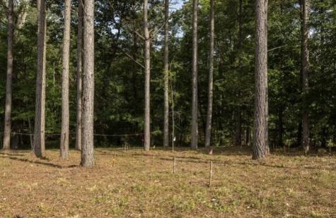 595 Compass Drive Jasper TN 37347