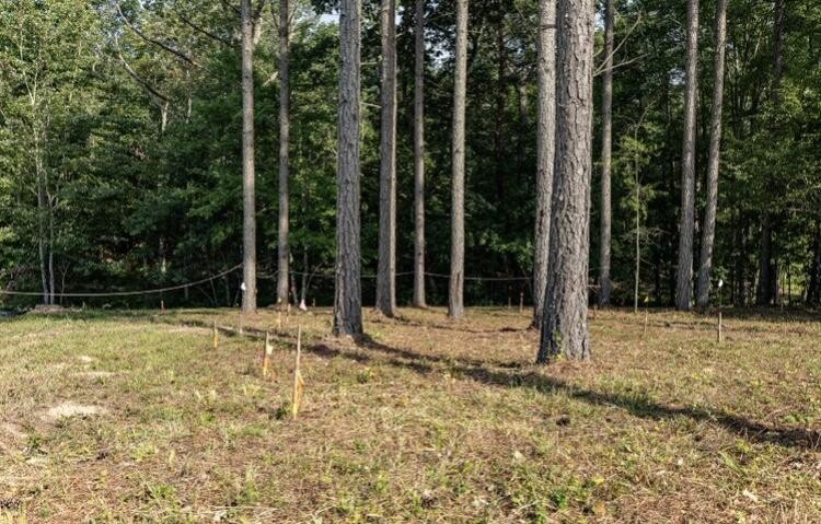 595 Compass Drive Jasper TN 37347