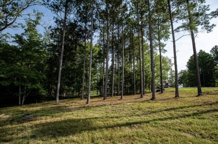 595 Compass Drive Jasper TN 37347