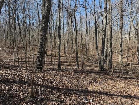 11 Shadowland Drive Graysville TN 37338