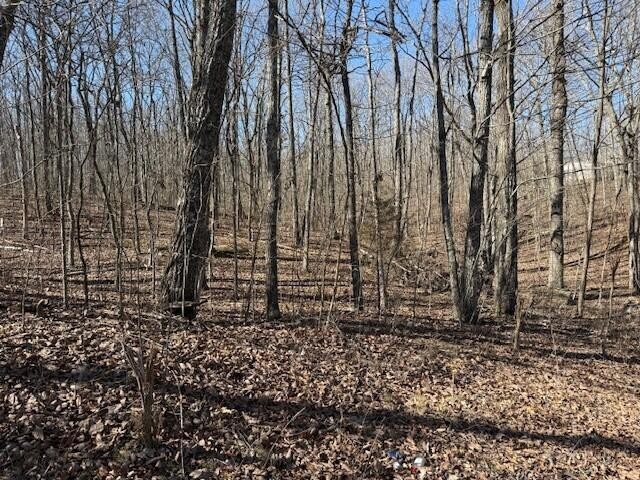 11 Shadowland Drive Graysville TN 37338