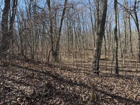 11 Shadowland Drive Graysville TN 37338