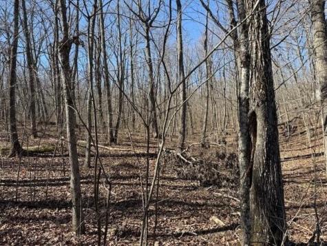 11 Shadowland Drive Graysville TN 37338