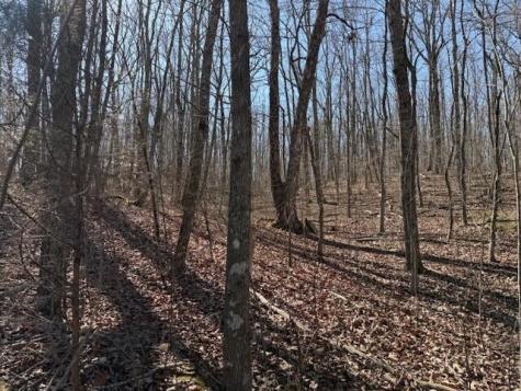 11 Shadowland Drive Graysville TN 37338