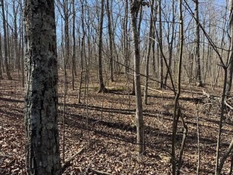 11 Shadowland Drive Graysville TN 37338