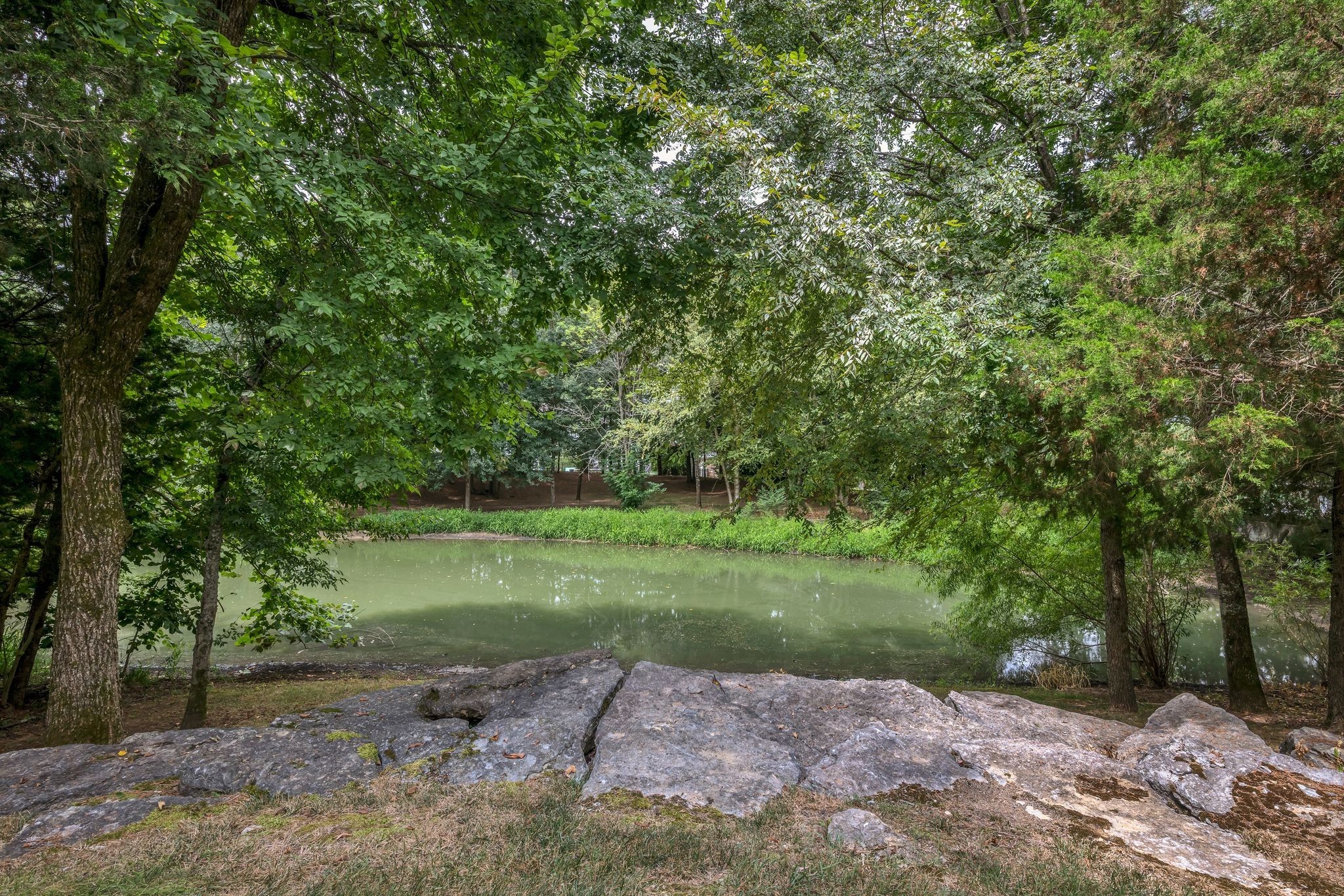 1609 Grassmere Road Franklin TN 37064