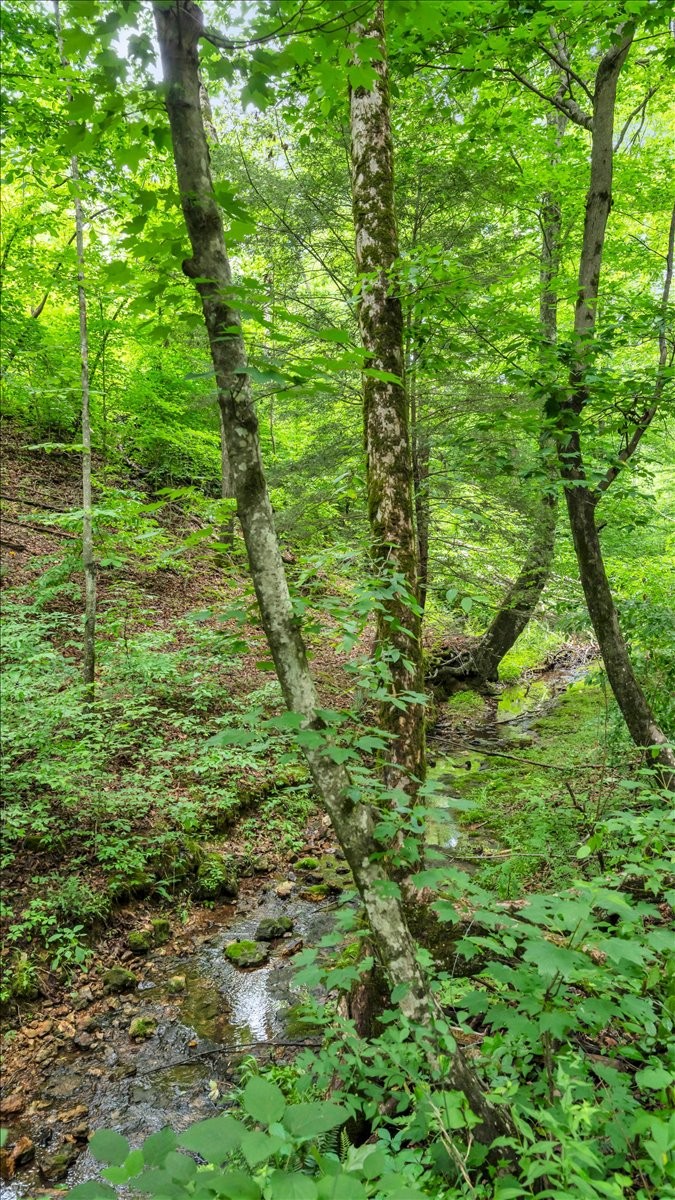 488 Prater Road Smithville TN 37166