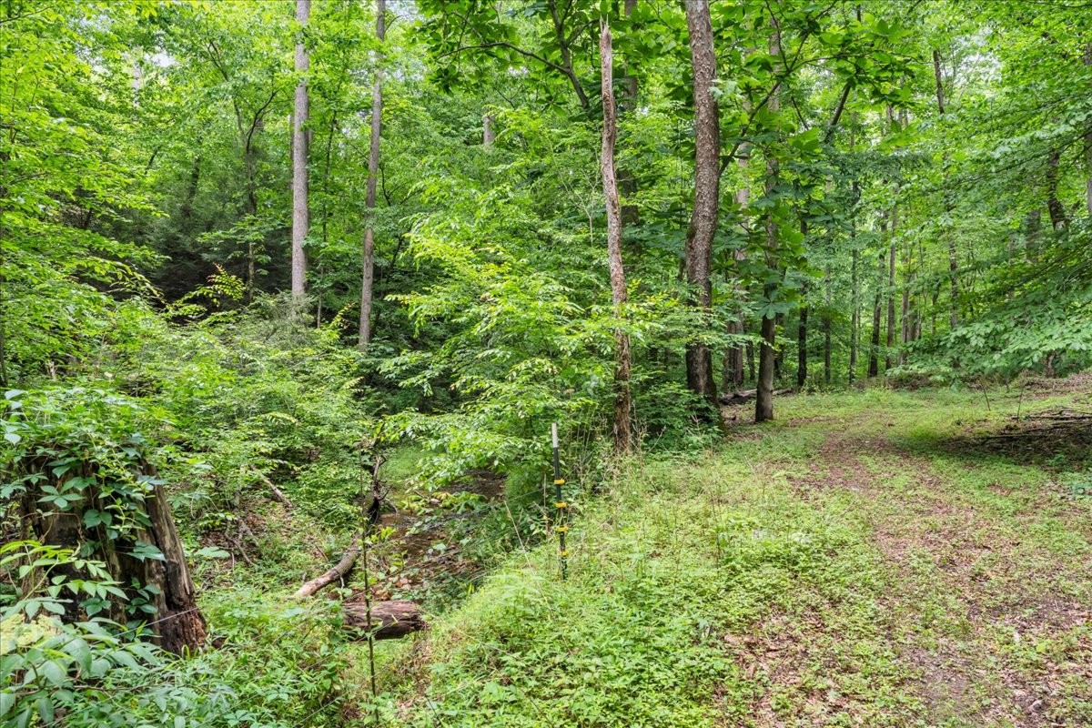 488 Prater Road Smithville TN 37166
