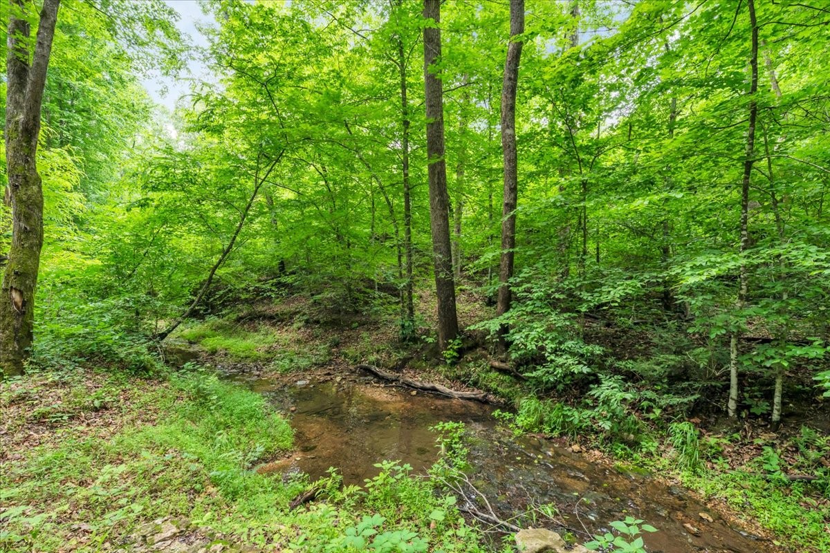 488 Prater Road Smithville TN 37166