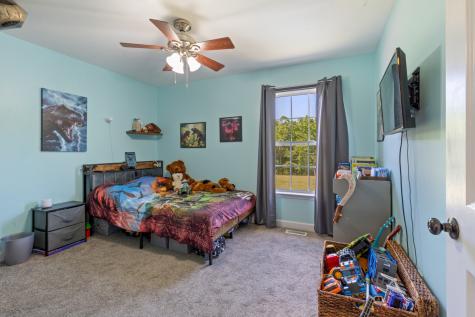 207 Coleman Drive White Bluff TN 37187