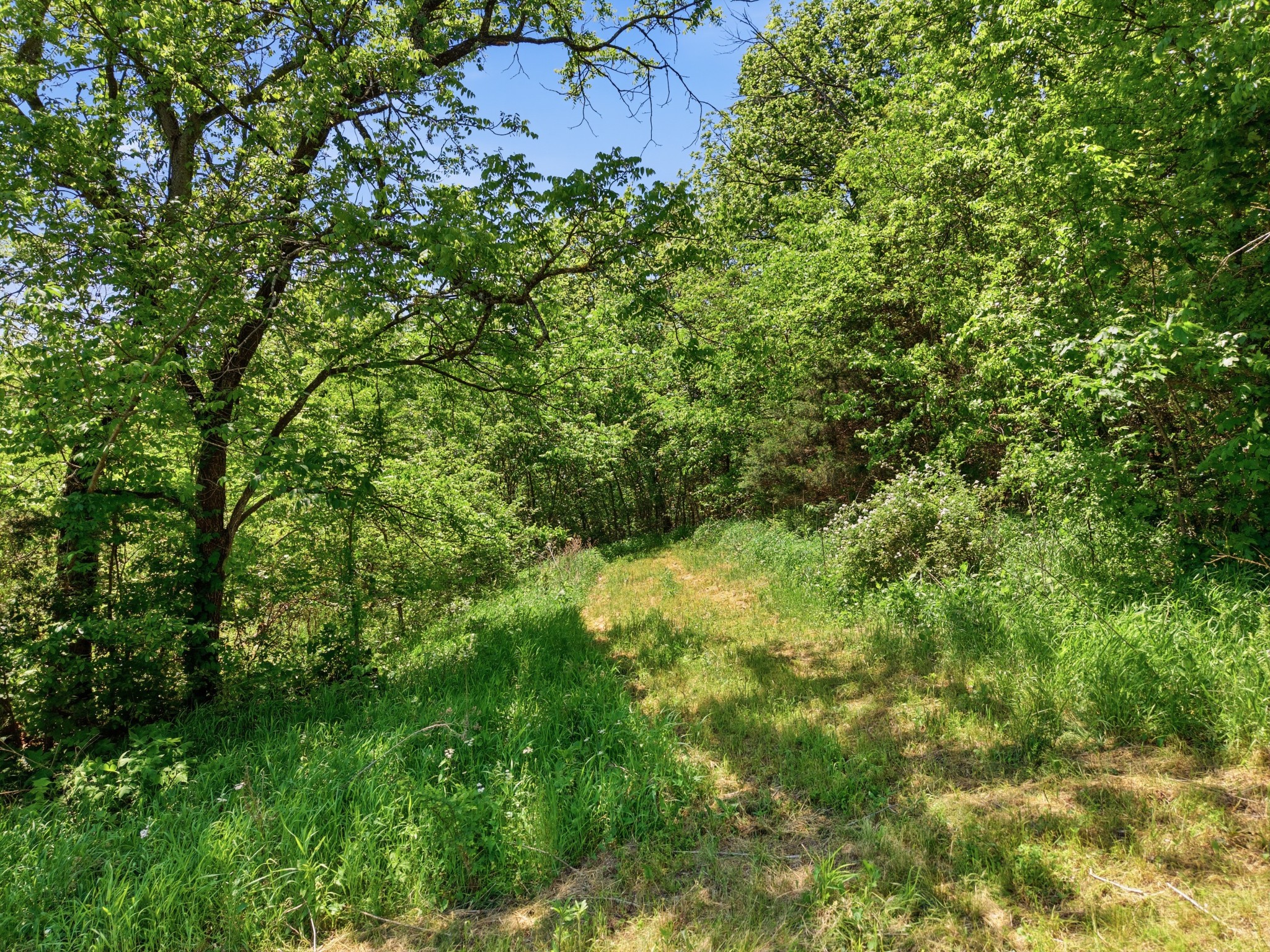 1840 Rock Springs Road Watertown TN 37184