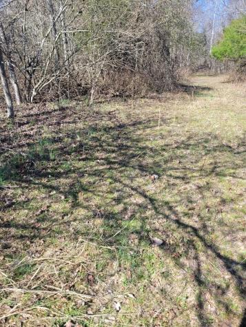 0 Cowhorne Hollow Road Prospect TN 38477