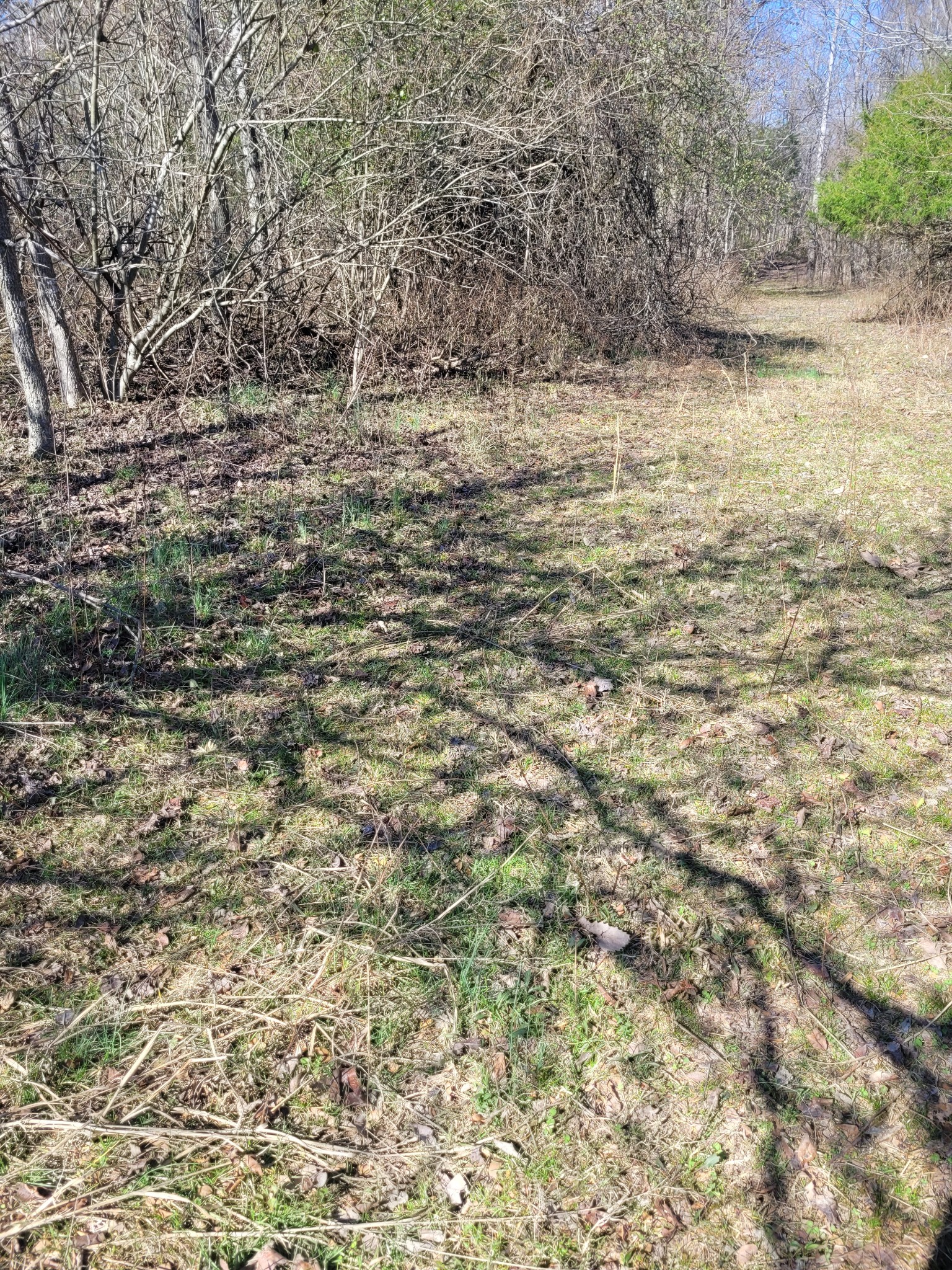 0 Cowhorne Hollow Road Prospect TN 38477