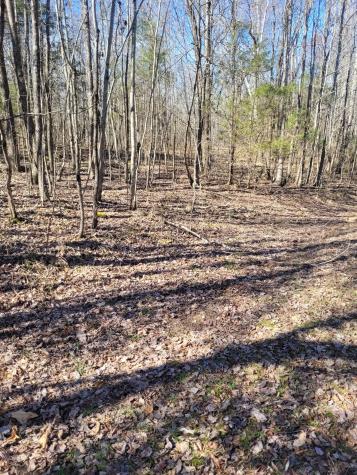 0 Cowhorne Hollow Road Prospect TN 38477