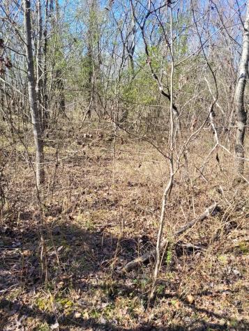 0 Cowhorne Hollow Road Prospect TN 38477