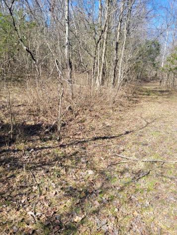 0 Cowhorne Hollow Road Prospect TN 38477