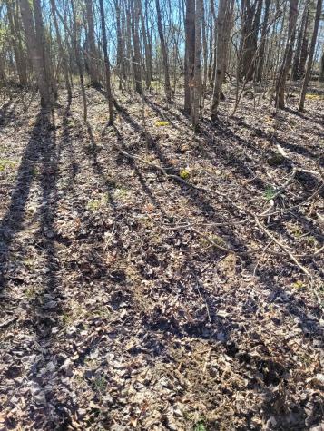 0 Cowhorne Hollow Road Prospect TN 38477