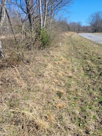 0 Cowhorne Hollow Road Prospect TN 38477