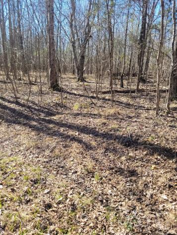 0 Cowhorne Hollow Road Prospect TN 38477