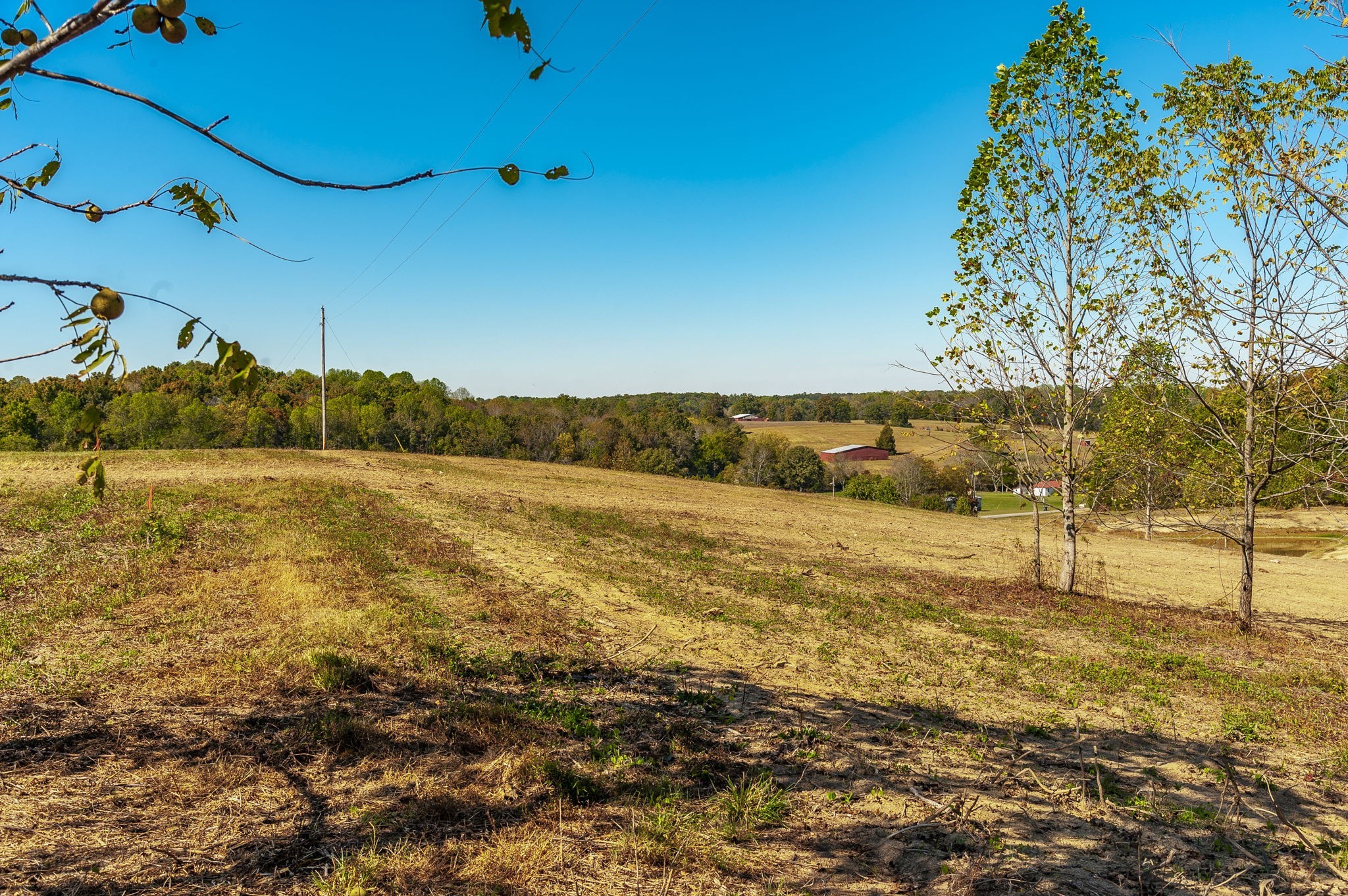 3 Rock Bridge Road Bethpage TN 37022