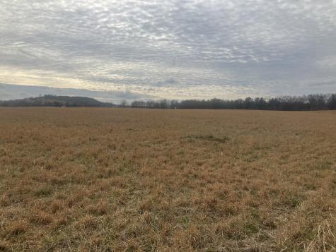 7 Southport Road Mount Pleasant TN 38474