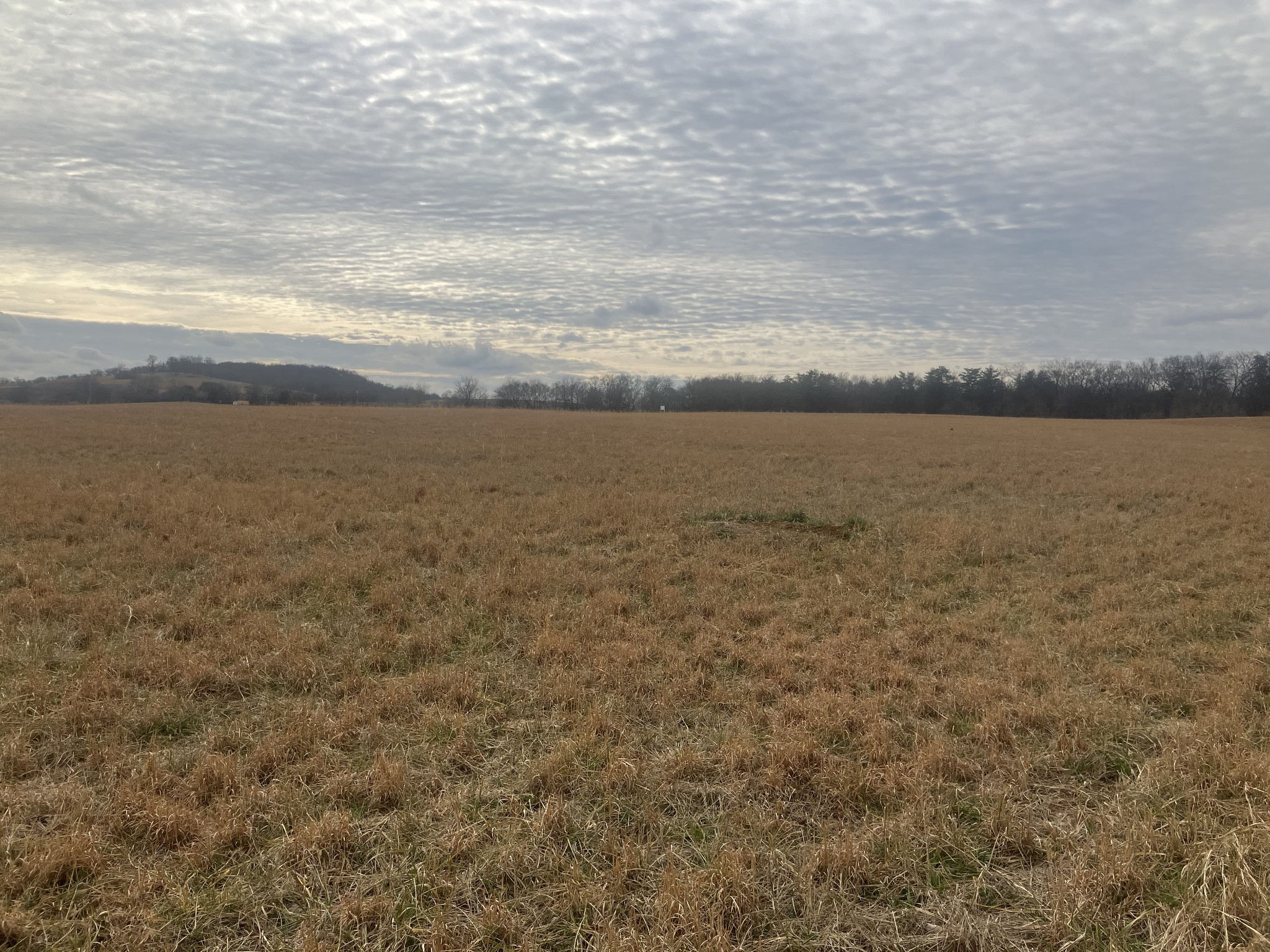 7 Southport Road Mount Pleasant TN 38474