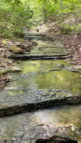 465 James Zimmerman Road Hampshire TN 38461