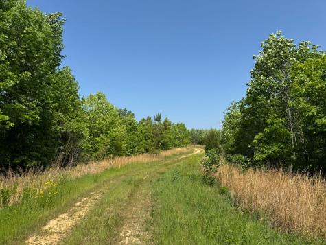 465 James Zimmerman Road Hampshire TN 38461