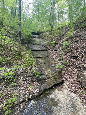 465 James Zimmerman Road Hampshire TN 38461