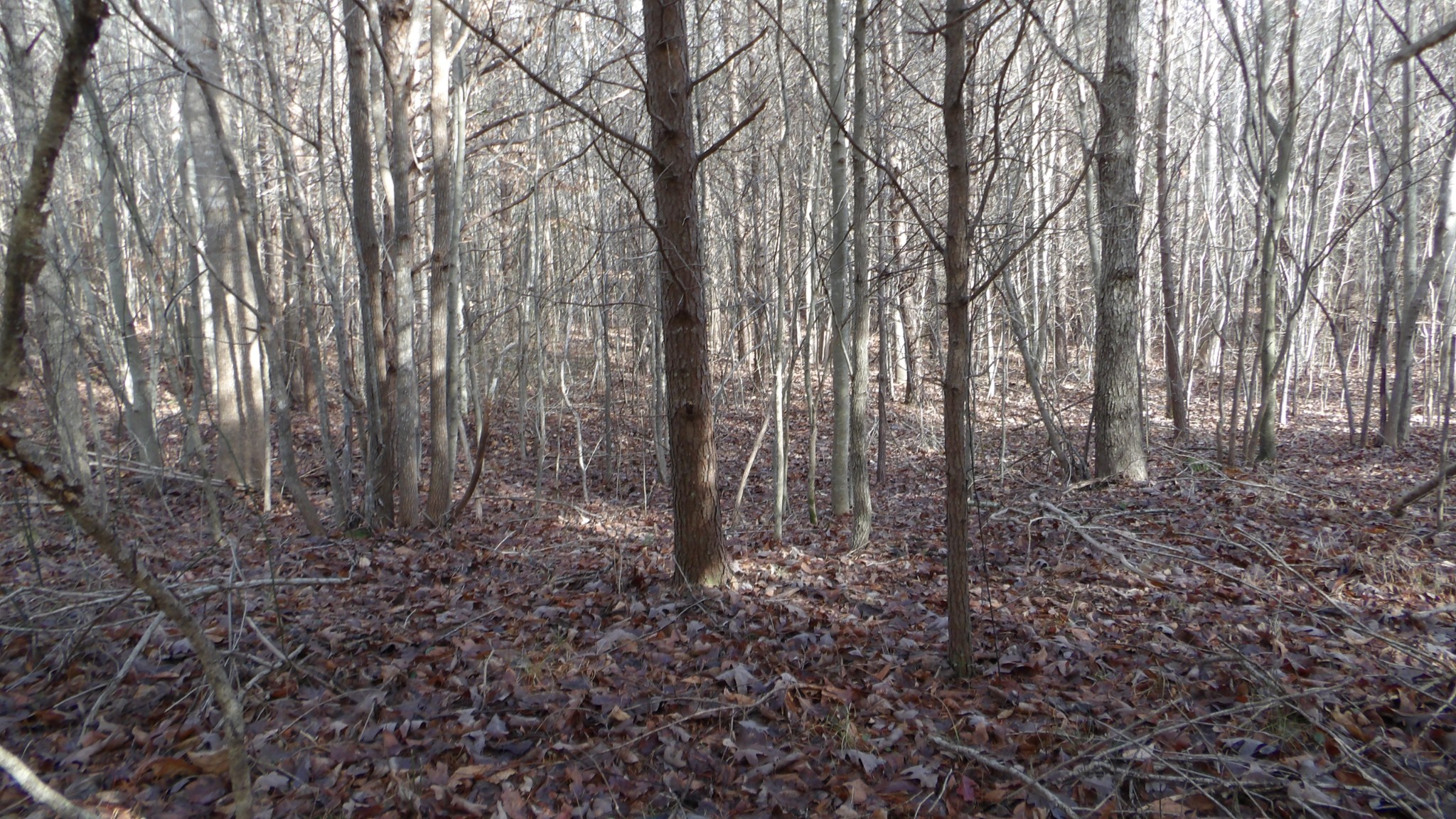0 Meadow Lane Spencer TN 38585