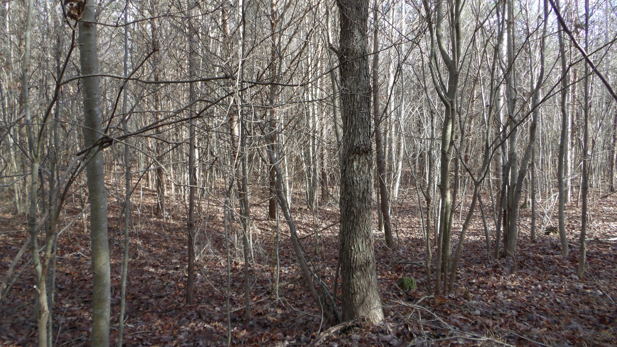 0 Meadow Lane Spencer TN 38585