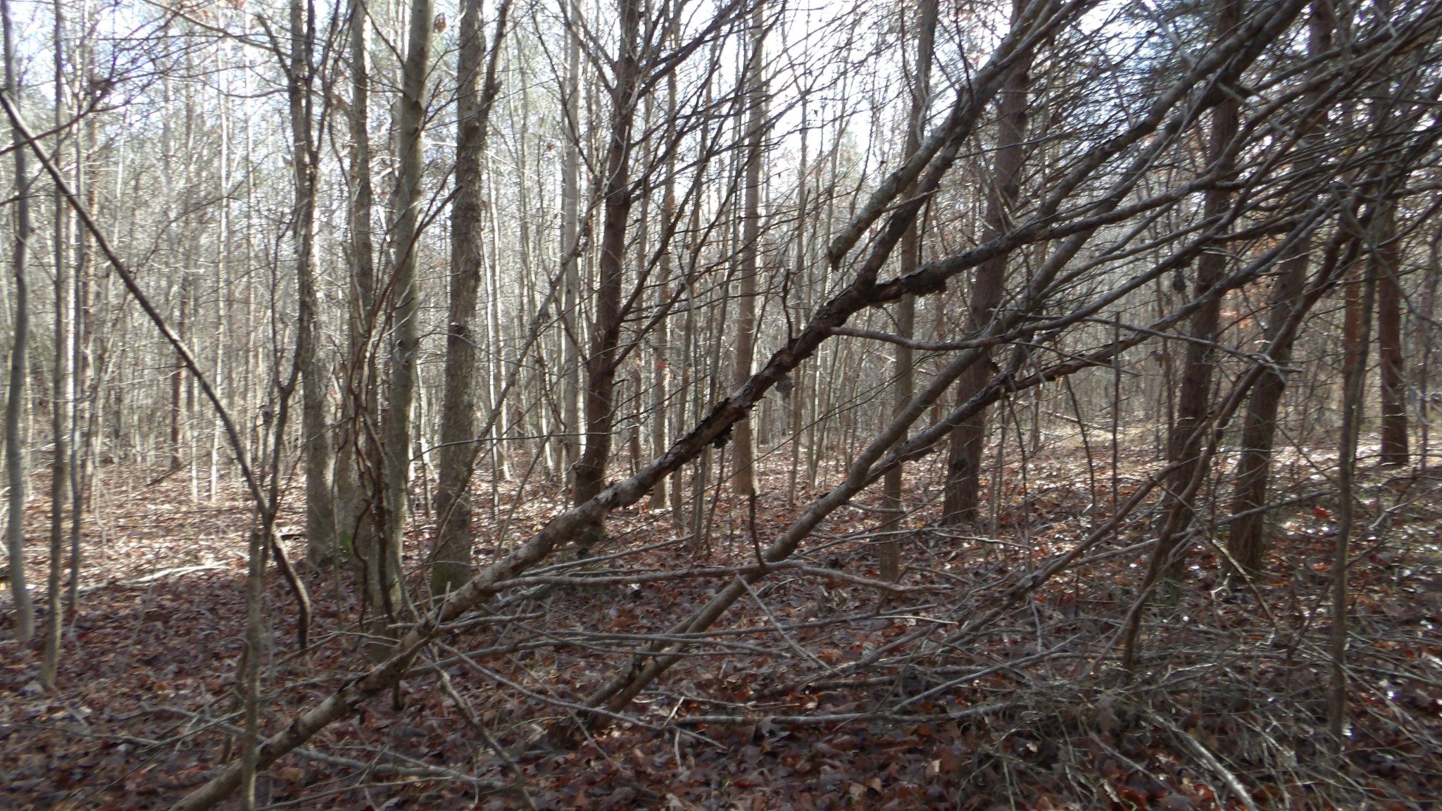 0 Meadow Lane Spencer TN 38585