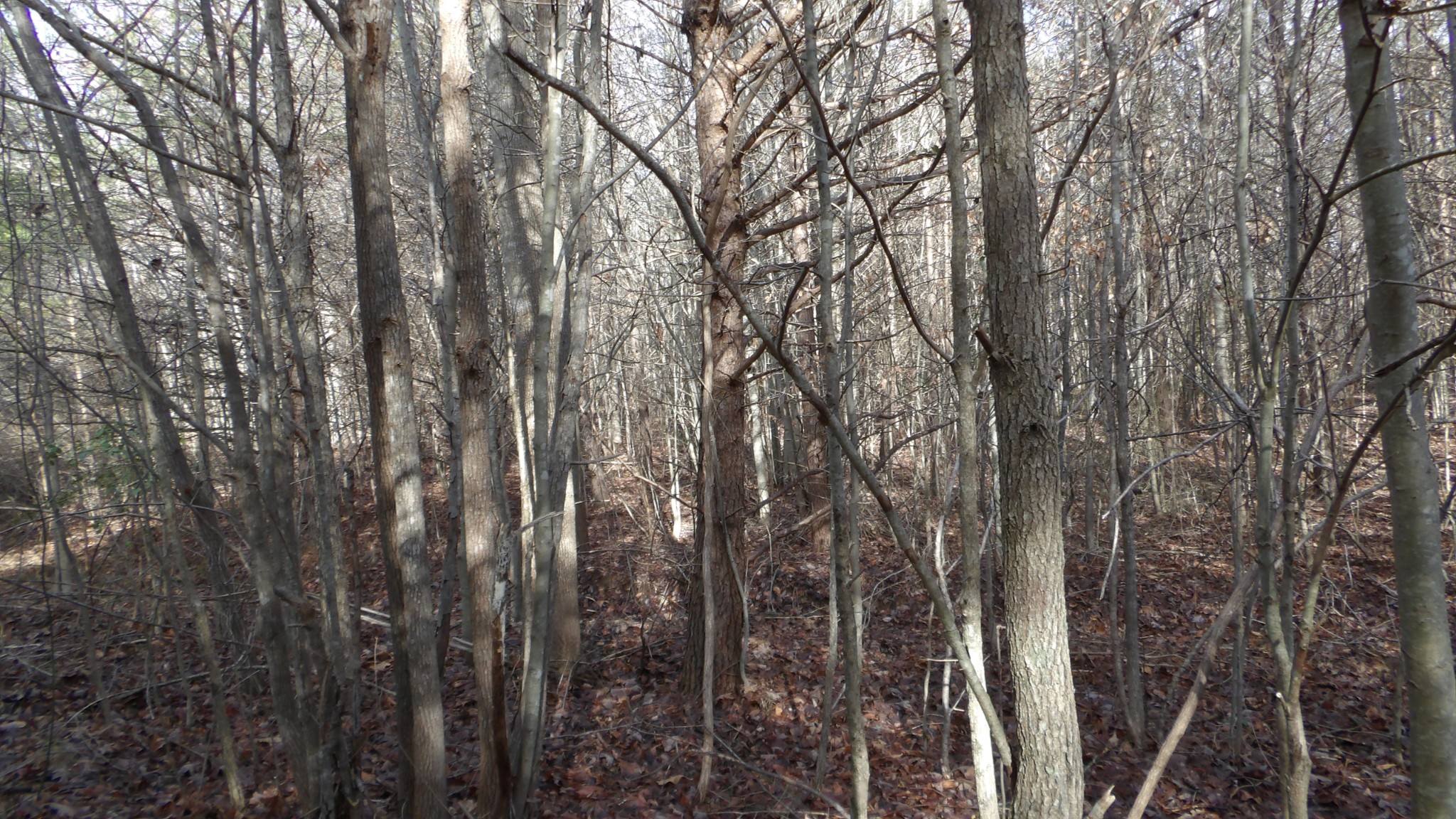 0 Meadow Lane Spencer TN 38585
