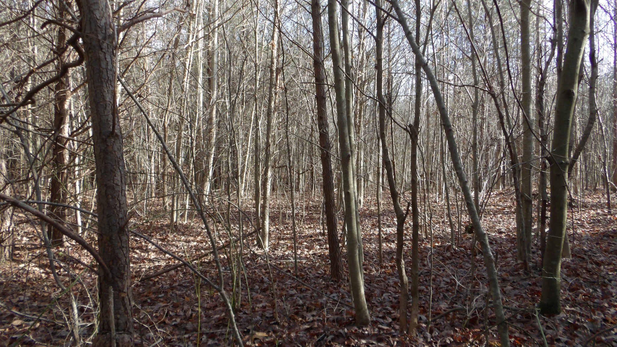 0 Meadow Lane Spencer TN 38585