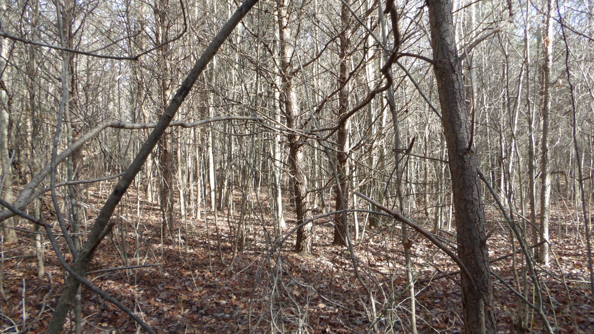 0 Meadow Lane Spencer TN 38585
