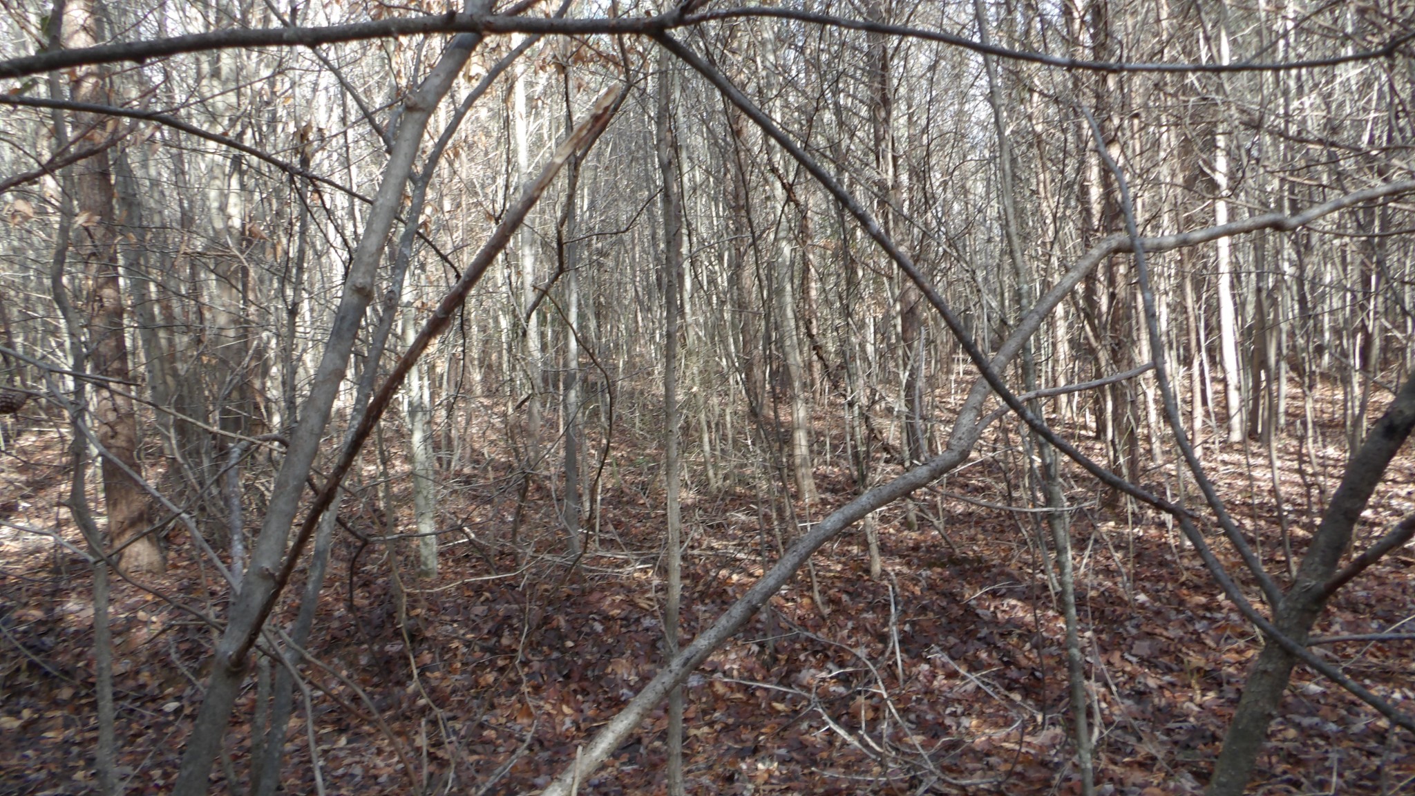 0 Meadow Lane Spencer TN 38585