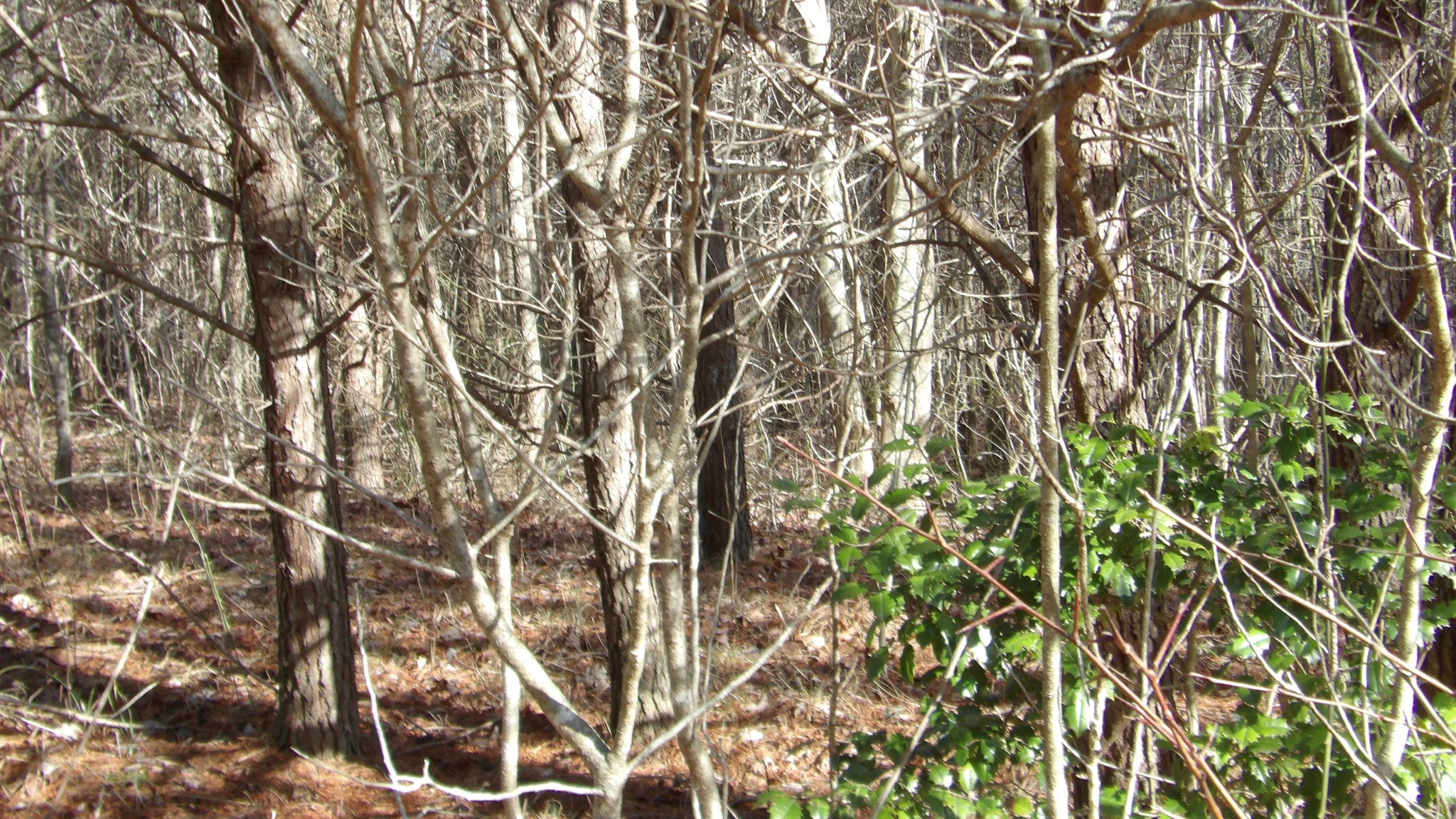 0 Meadow Lane Spencer TN 38585