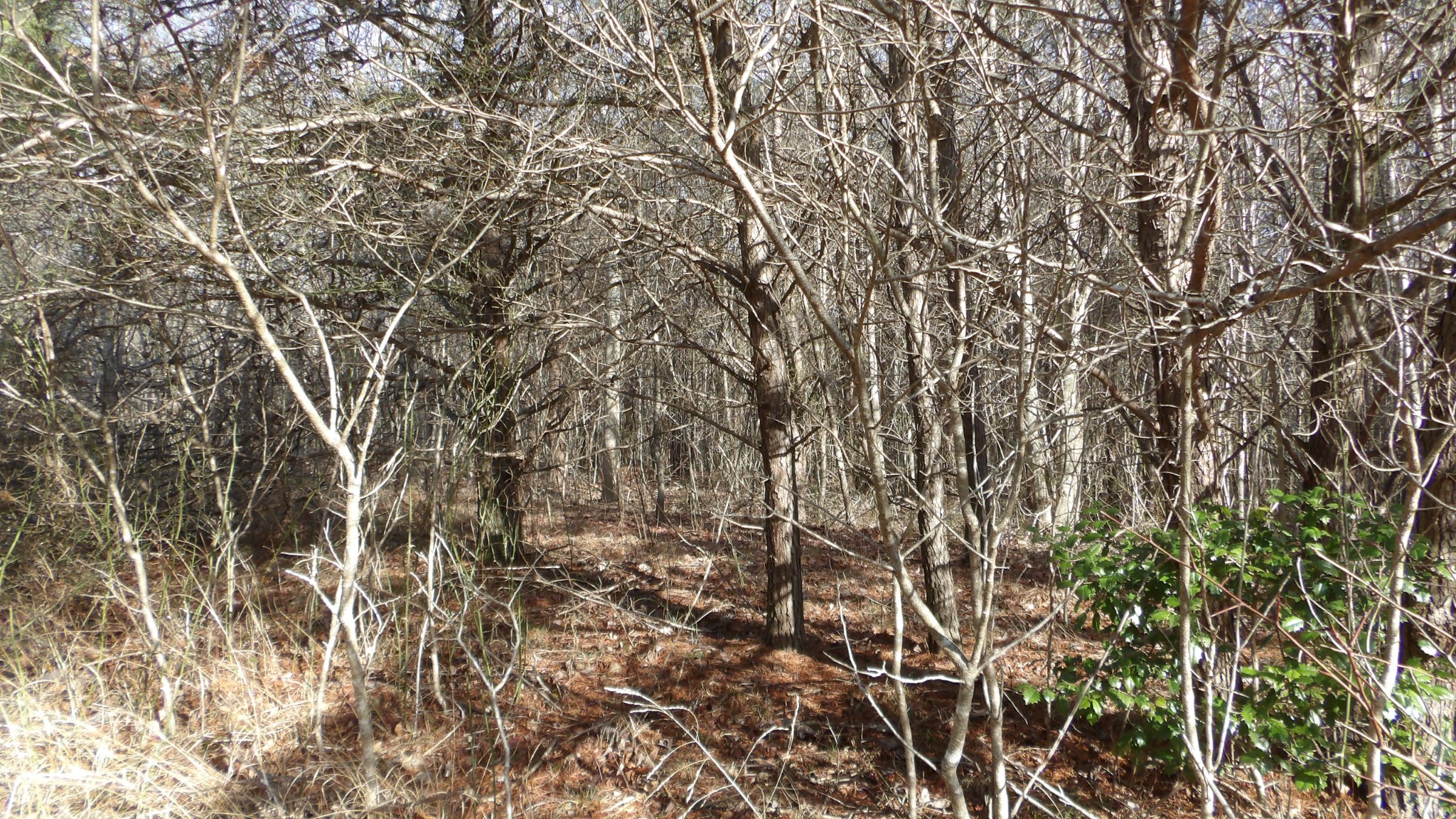 0 Meadow Lane Spencer TN 38585