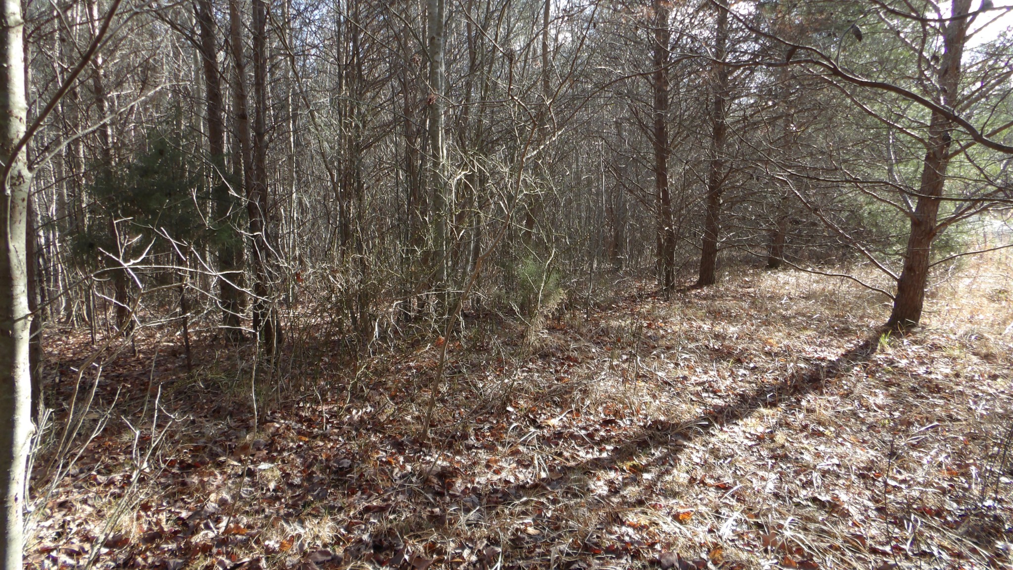 0 Meadow Lane Spencer TN 38585