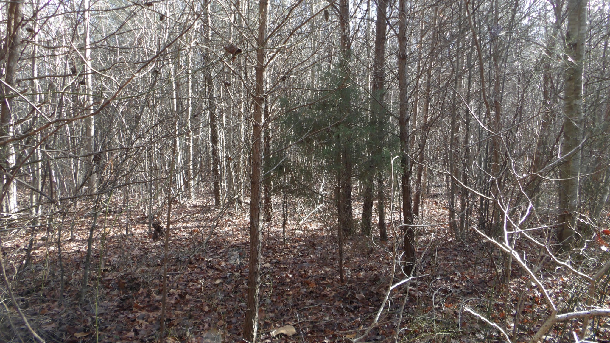 0 Meadow Lane Spencer TN 38585