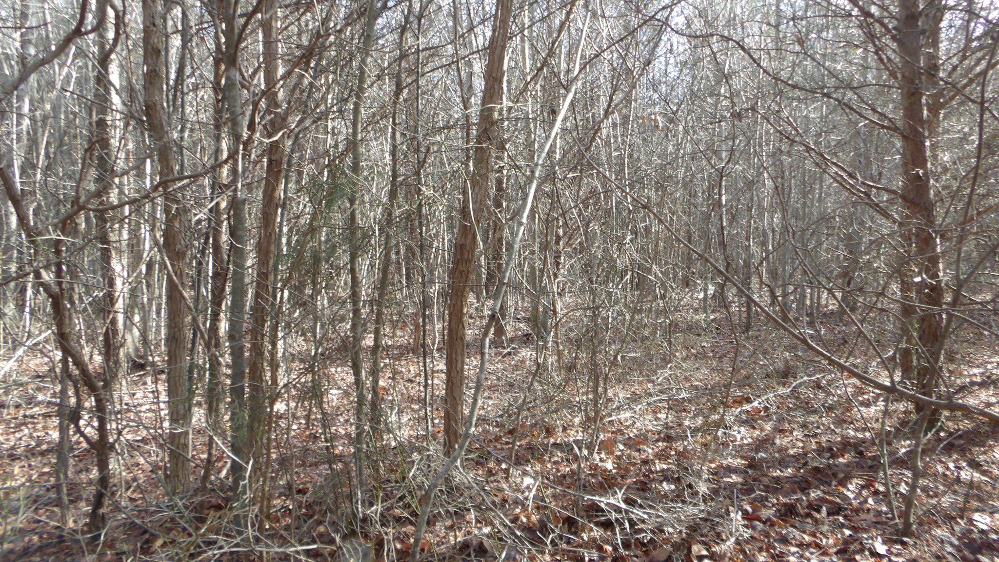 0 Meadow Lane Spencer TN 38585