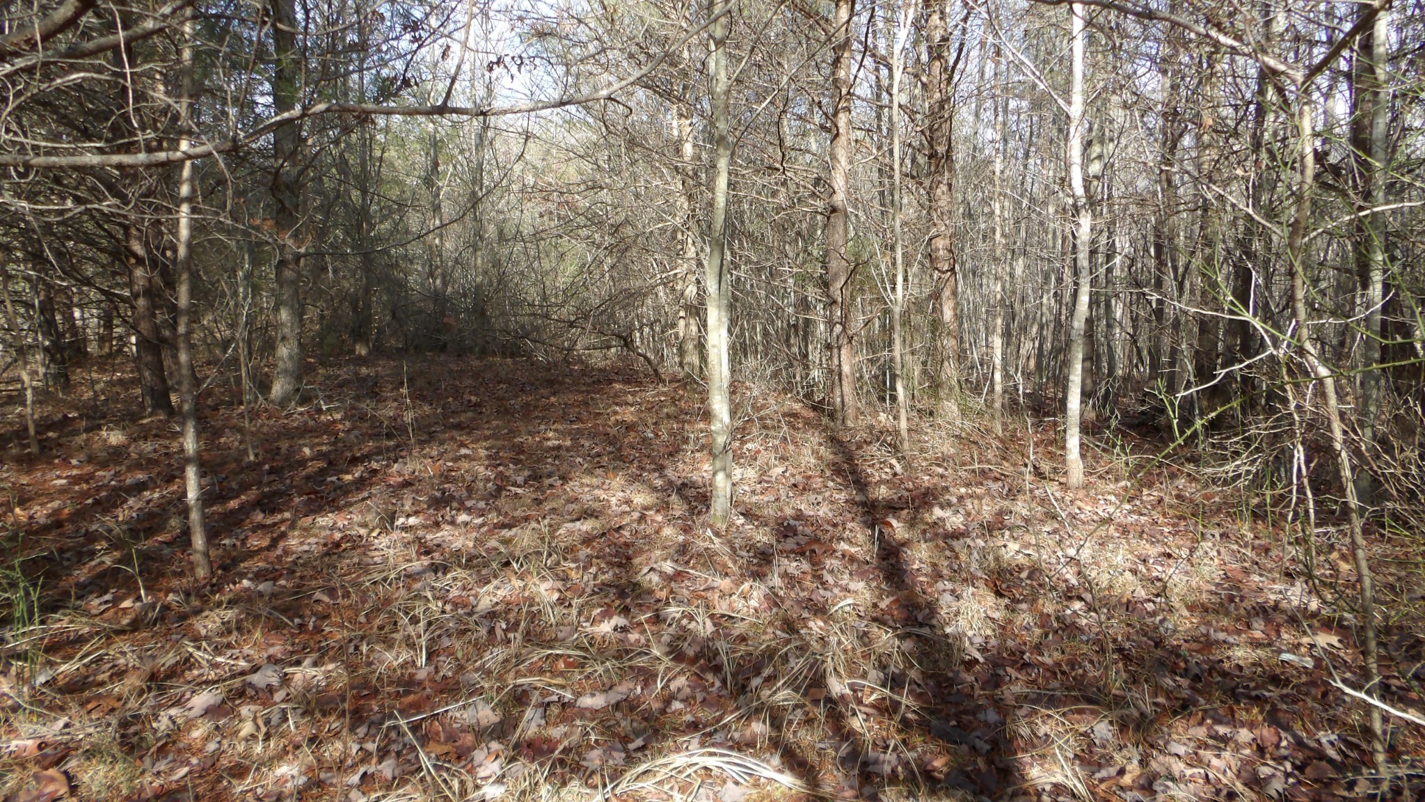 0 Meadow Lane Spencer TN 38585